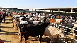 Büyükşehir'den kurban kesim kursu 