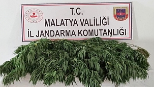 jandarma suçlulara göz açtırmıyor