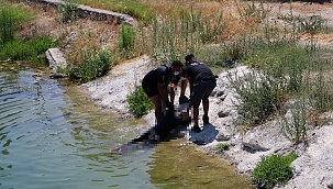 Seyhan Nehri'nde erkek cesedi bulundu 