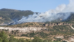 Başkent'te ormanlık alanda yangın 