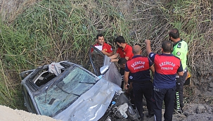 Erzincan'da otomobil şarampole uçtu 