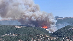 Lübnan'da korkutan orman yangını 