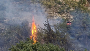 Karabük'te ormanlık alanda yangın 