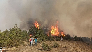 Karabük yangını rüzgarın etkisiyle ilerliyor 