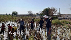 Şanlıurfa'da iki mahalle su altında kaldı 