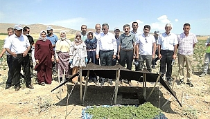 Tarla günü etkinliğinde kekik hasadı 