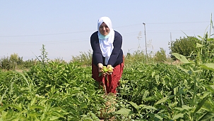 "Toprağımızın kıymetini bilelim"