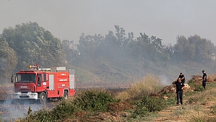 Antalya'da Mısır tarlasında yangın 