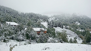 Artvin'de kar yağdı yaylalar beyaza büründü