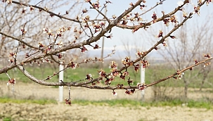 Eksperler için ön eleme sınavı 