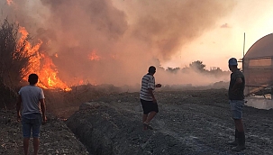 Hatay'da sazlık alanda yangın korkuttu 