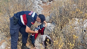 İki gündür kayıptı ormanda bulundu