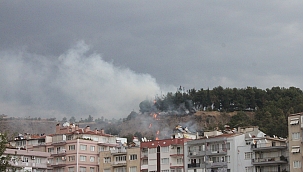 Mesire alanındaki yangın korkuttu 