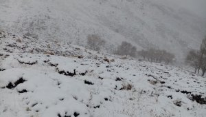 Malatya'da kent merkezinde yağmur, yüksek kesimlerde kar yağışı