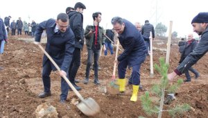 İnönü Üniversitesi'nde bin fidan toprakla buluşturuldu