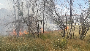 Malatya'da çıkan anız yangını söndürüldü 