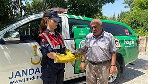 Yaralı bulunan doğan tedavi altına alındı 