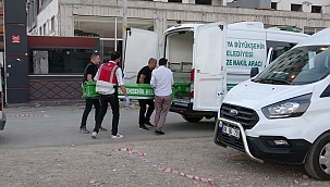 Diş hekimi yol kenarında ölü bulundu 