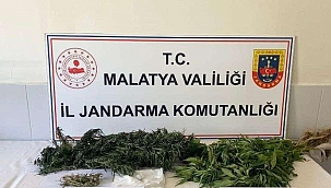 Malatya'da zehir tacirlerine geçit yok 