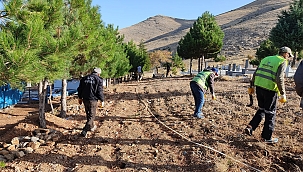 Doğanşehir Belediyesi 39 mahallede mezarlık temizliği yapıyor 