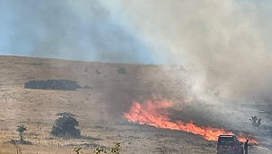 Arguvan'da bir hektarlık alanda anız yangını 