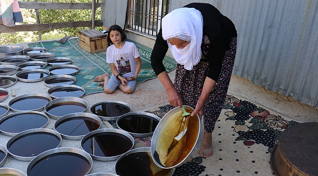 Dutun pekmez yolcuğu başladı 