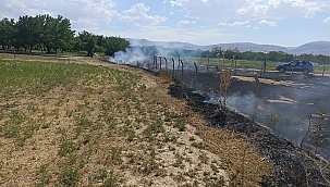 Darende'de arazi yangını 