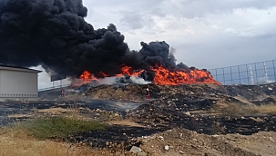 Hurdalık alandaki yangın korkuttu 