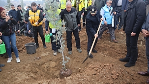 Malatya'da fidanlar toprakla buluştu 