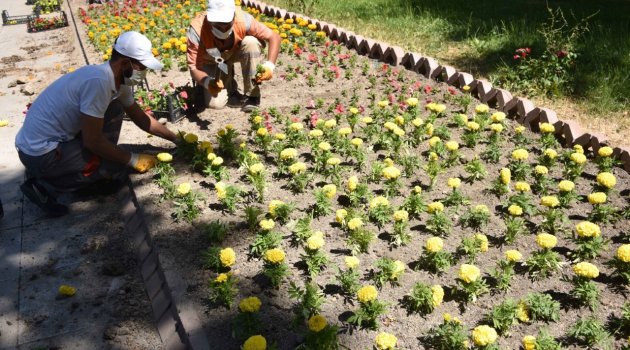 Büyükşehir Belediyesi'nden 150 bin çiçek